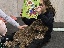 NZ Maeg 1124 016