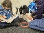 NZ Maeg 1124 034